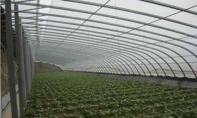 冬季怎样建蔬菜大棚